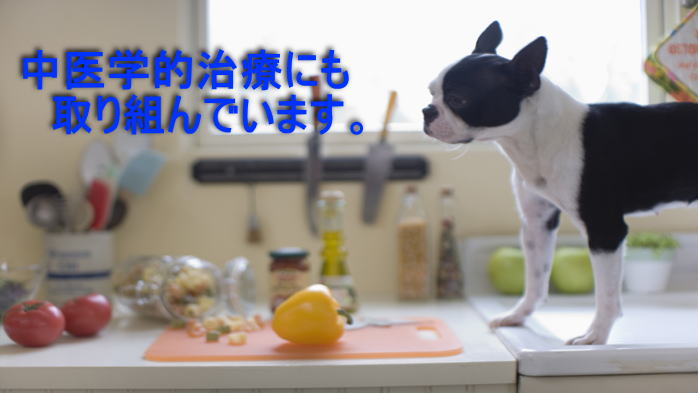 �A�e�B�I�����a�@